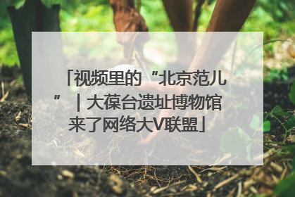 视频里的“北京范儿”｜大葆台遗址博物馆来了网络大V联盟
